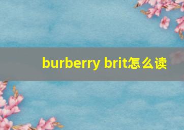 burberry brit怎么读